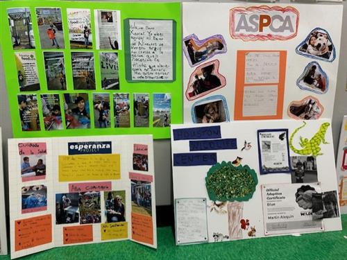 1st Grade IB Project